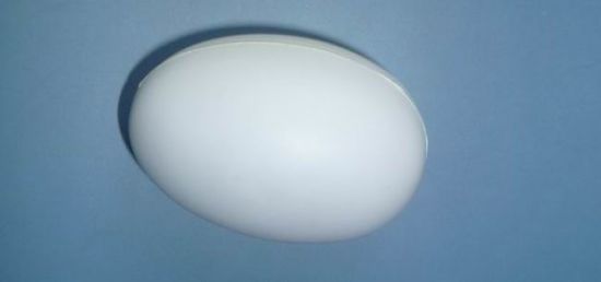 PU Stress Squishy Toy White Egg Shape