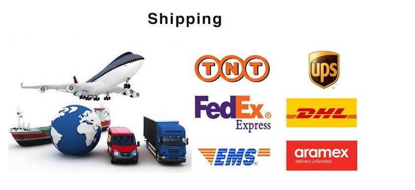 Logistic and Shipping